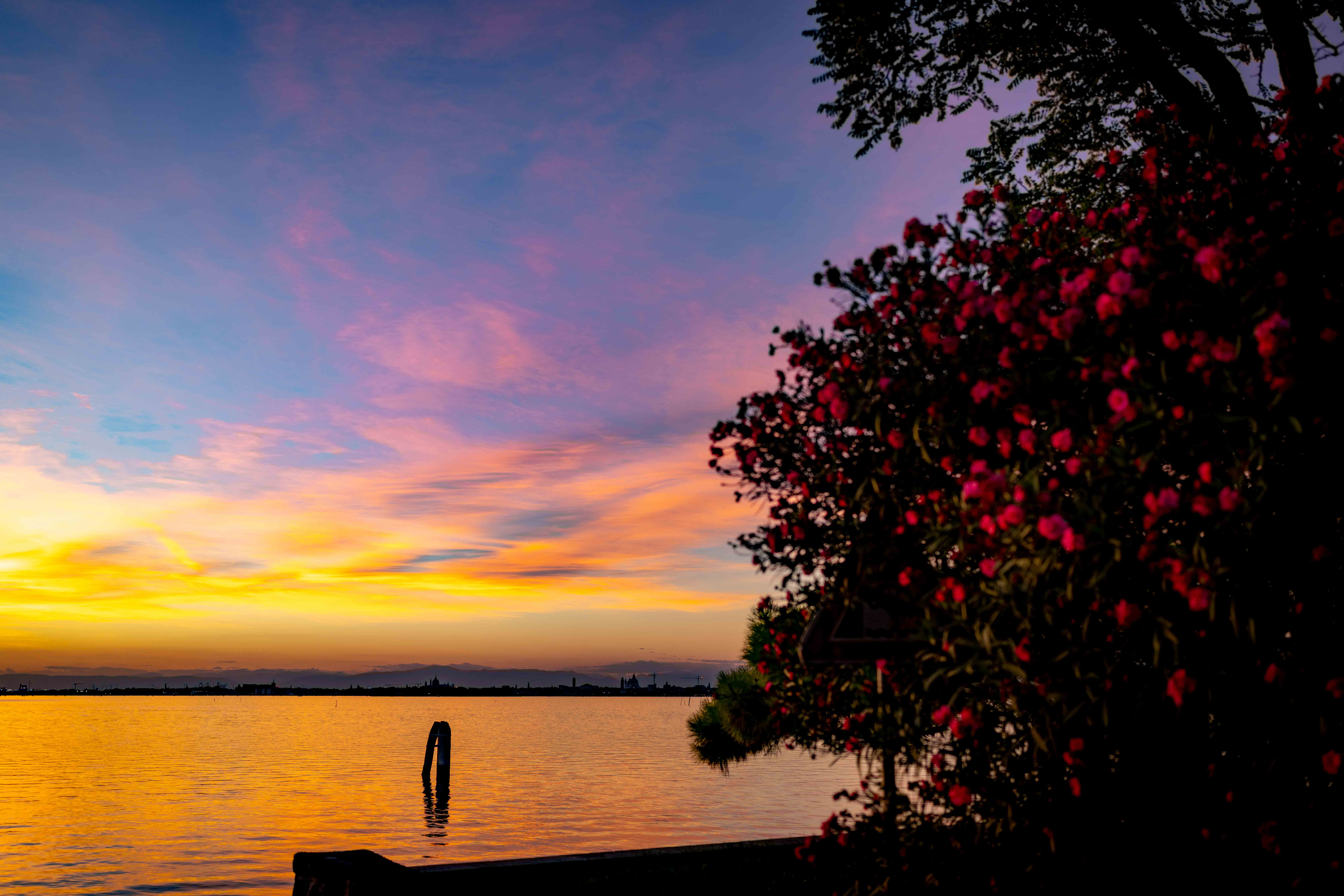 Photos from travel in Rome, Florence, Venice, Fall 2025.